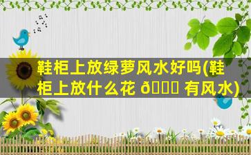 鞋柜上放绿萝风水好吗(鞋柜上放什么花 🐞 有风水)